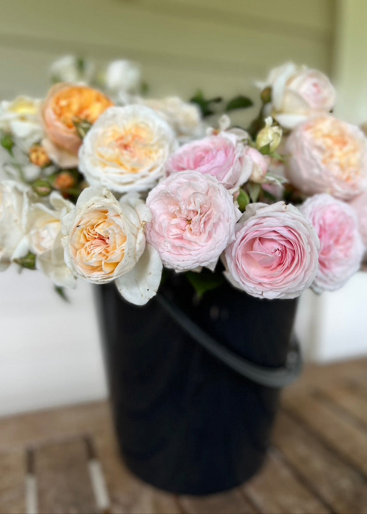 Dreamy Garden Rose Flower Buckets