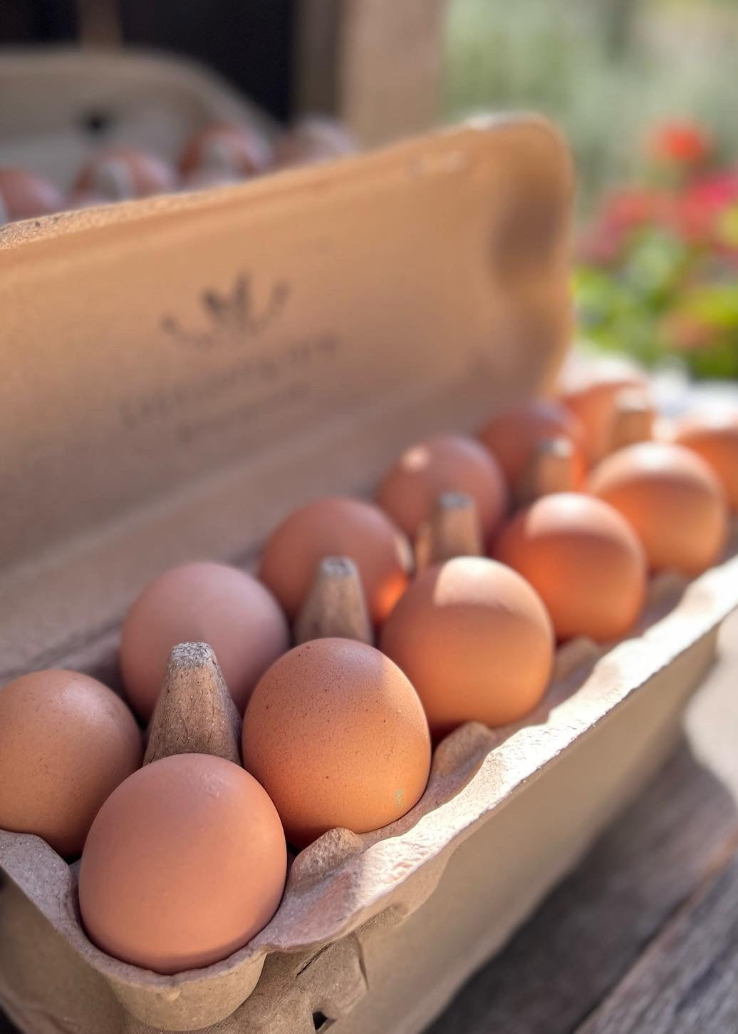 Carton of brown eggs on a wooden surface with a blurred natural background