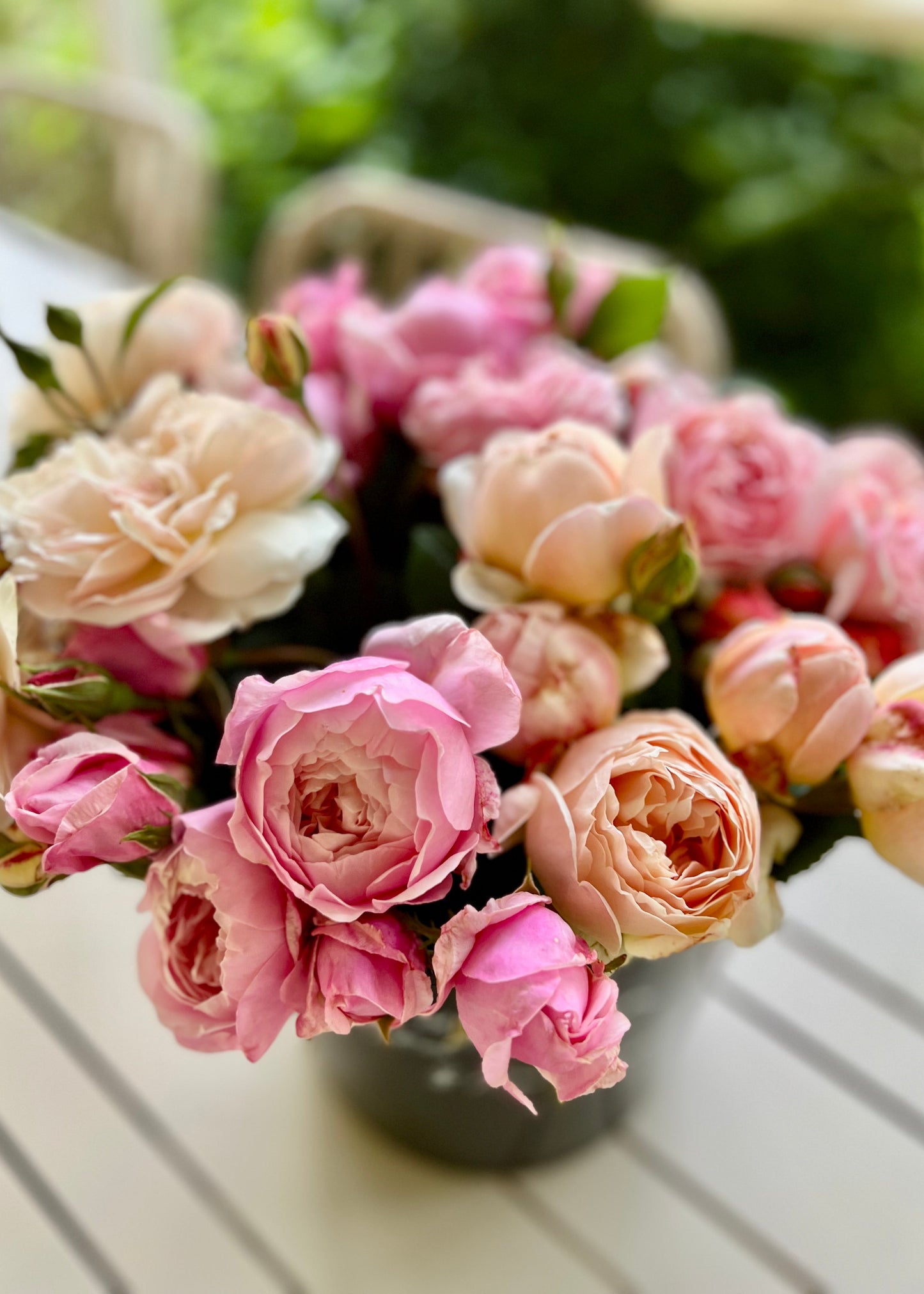 A flower bucket containing 5 bunches of garden roses in mixed colours.