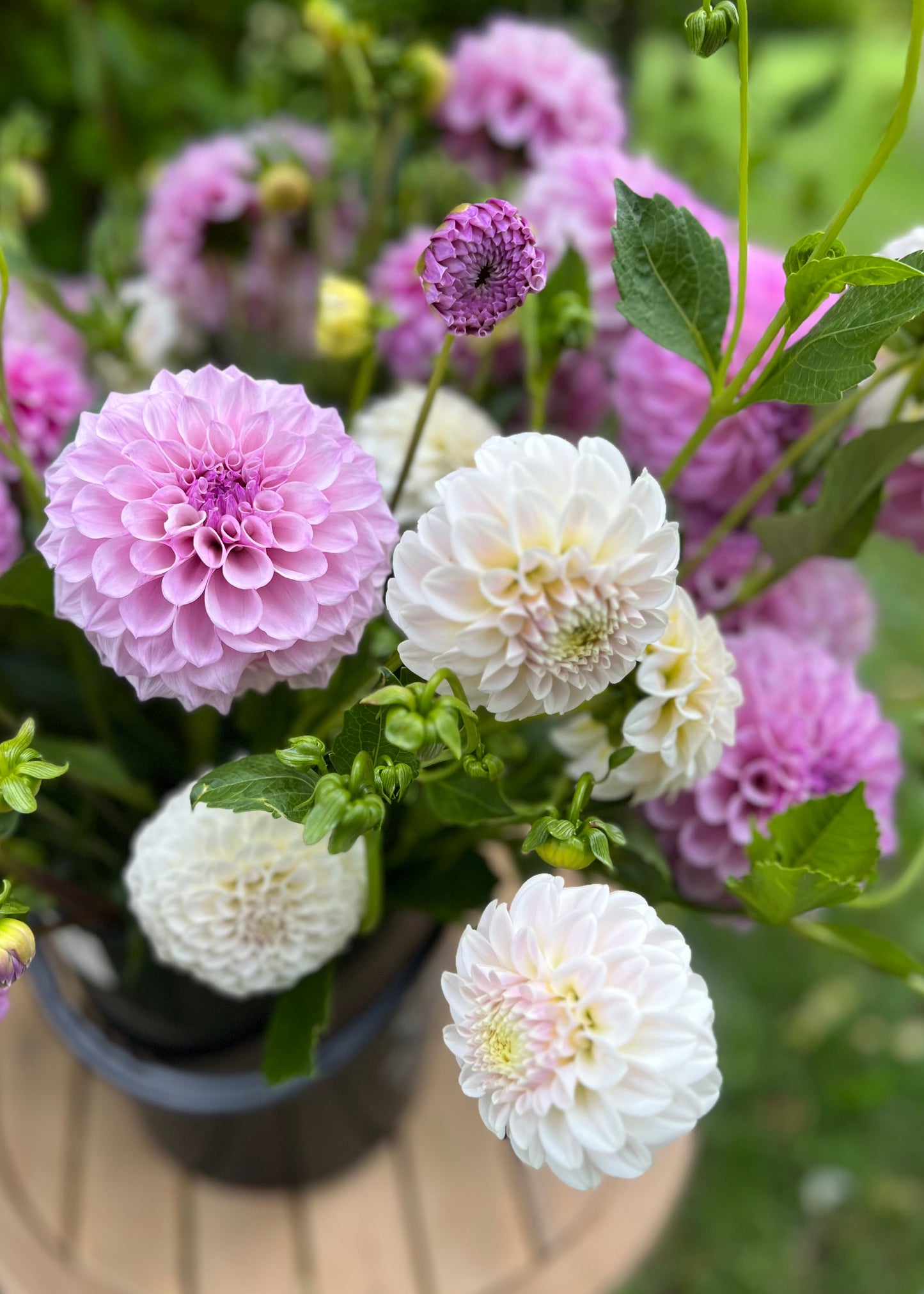 Dreamy Lilac Flower Buckets