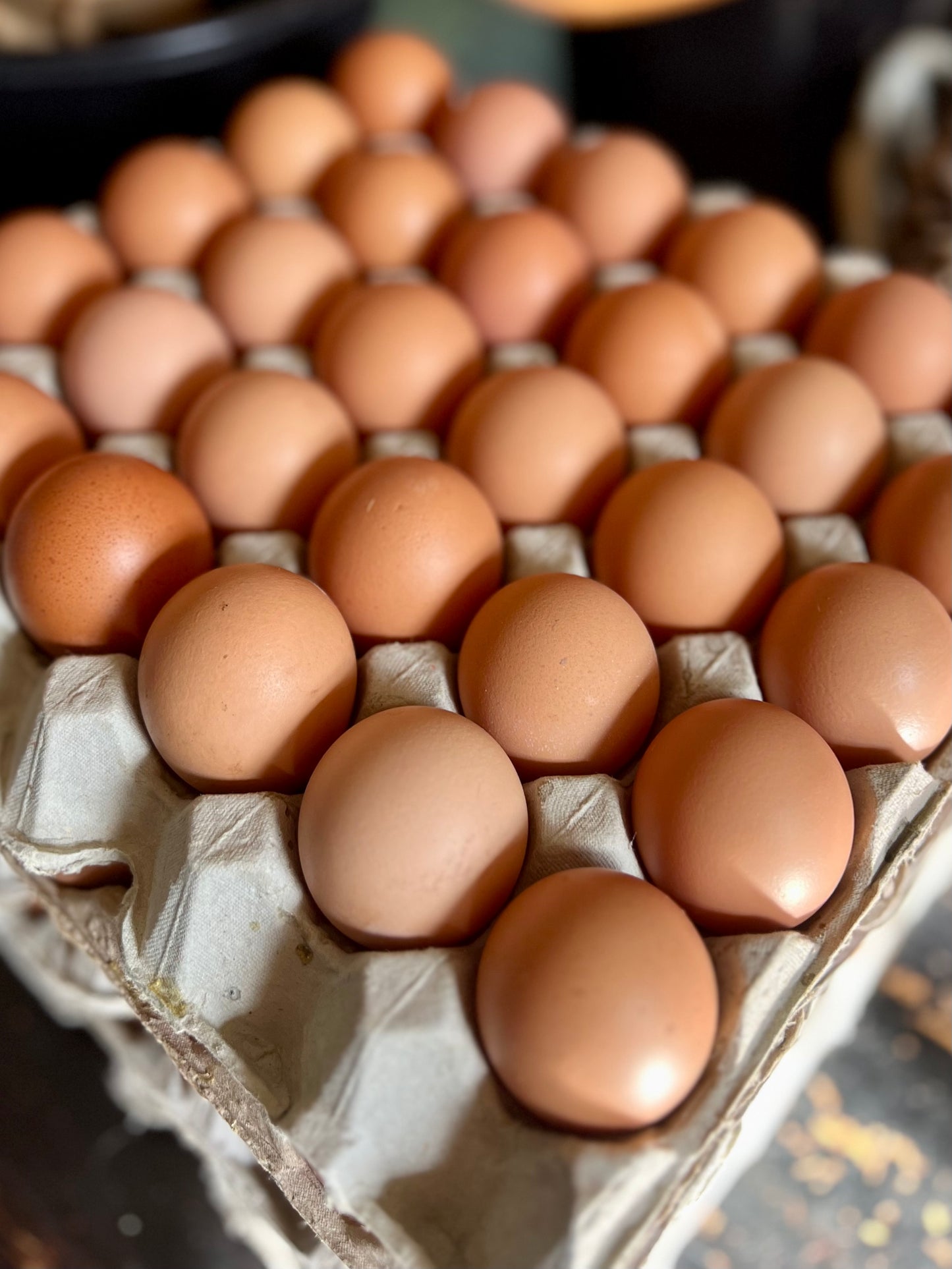 Farm Fresh - Boxed Free Range Eggs