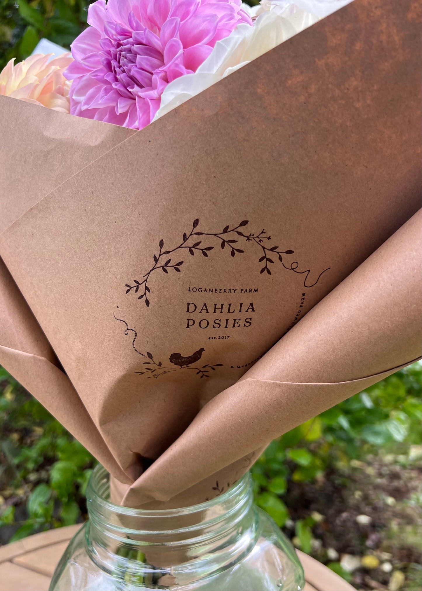 Dahlia Posies