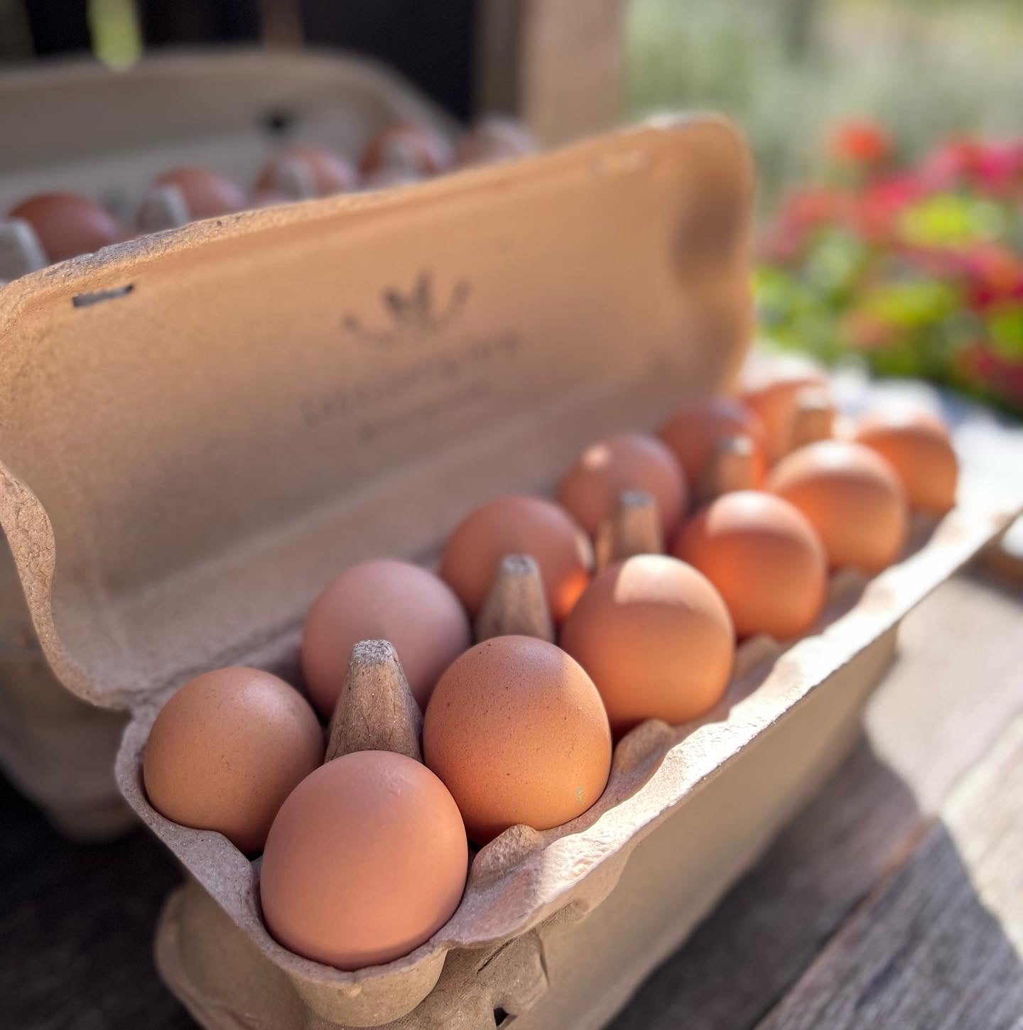 Free Range Eggs