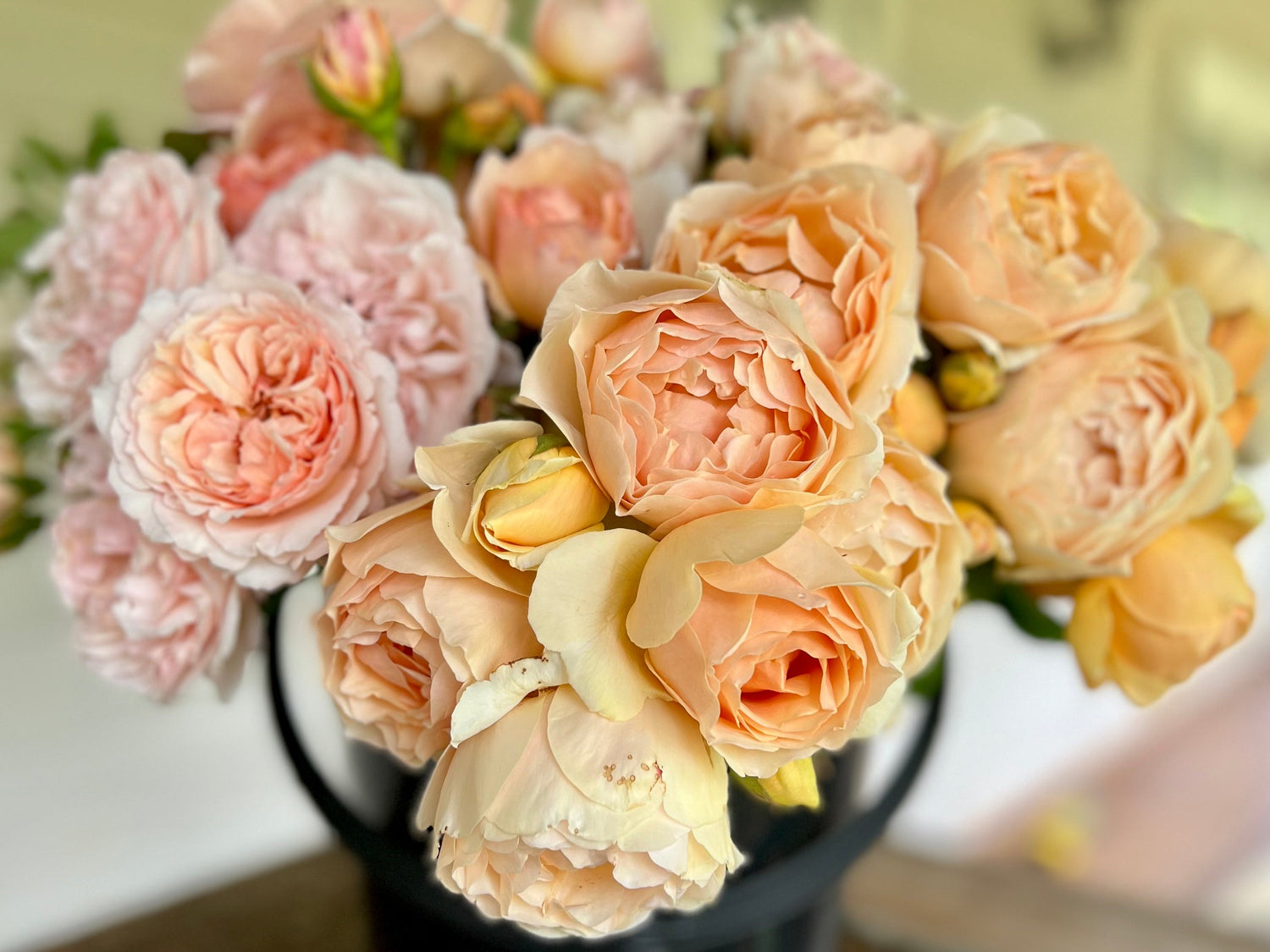 Eco Florists / Creatives Garden Rose Flower Buckets