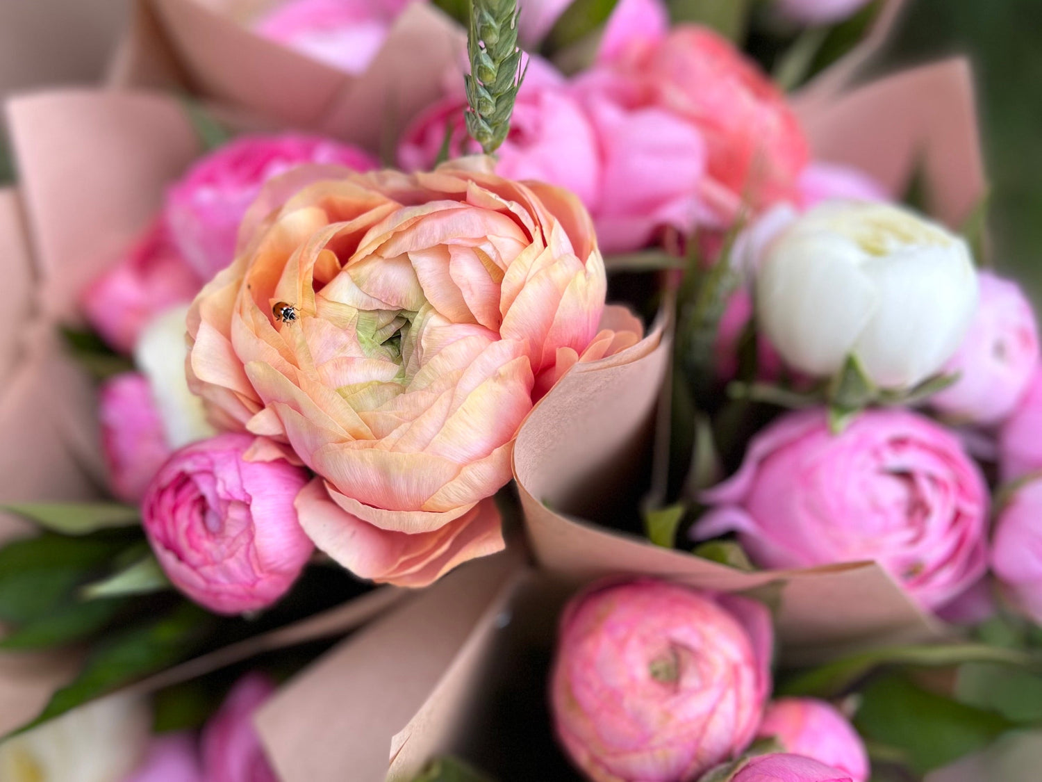 Spring Farmgate Bunches