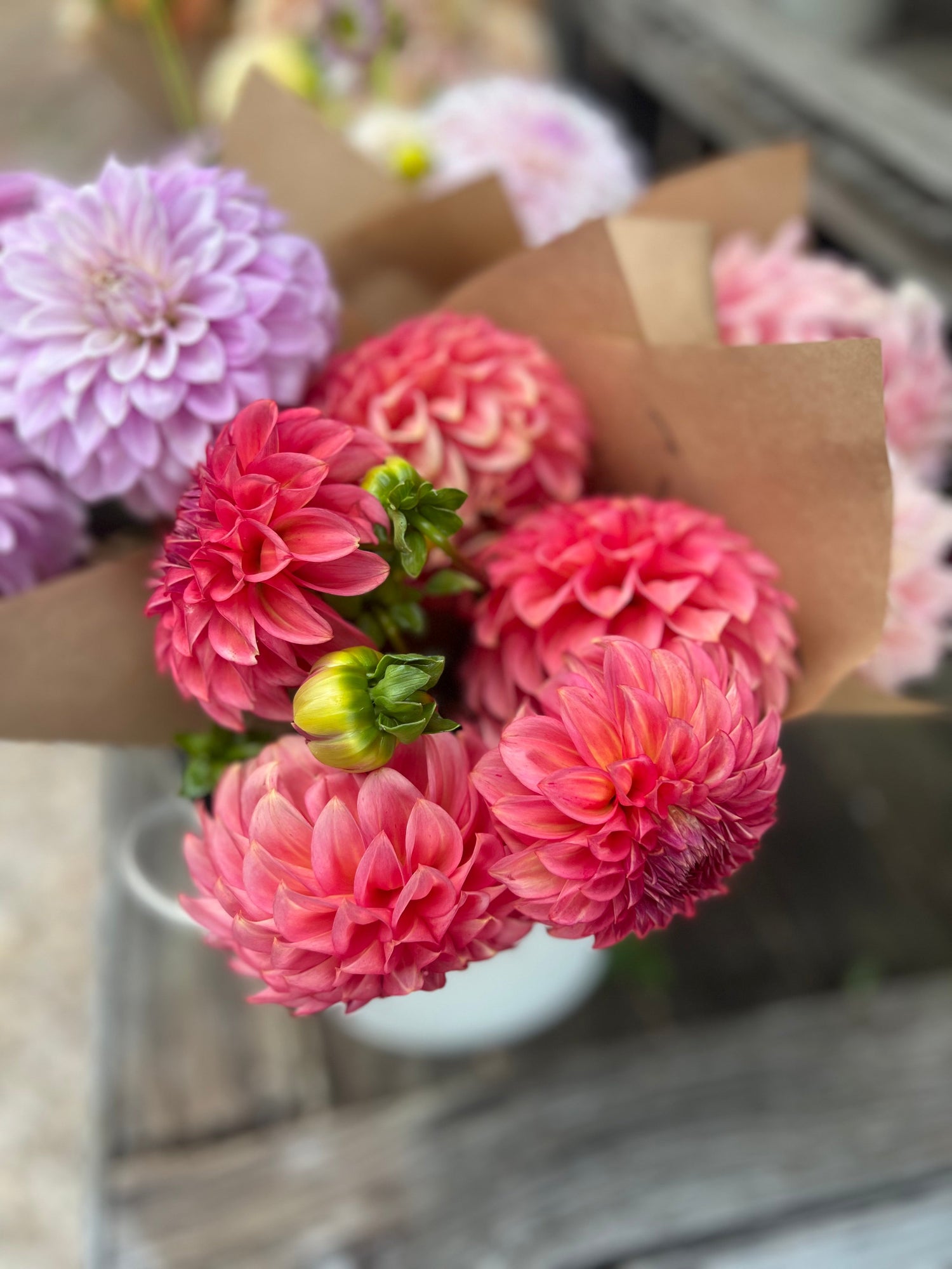 Farmgate Dahlia Bunches