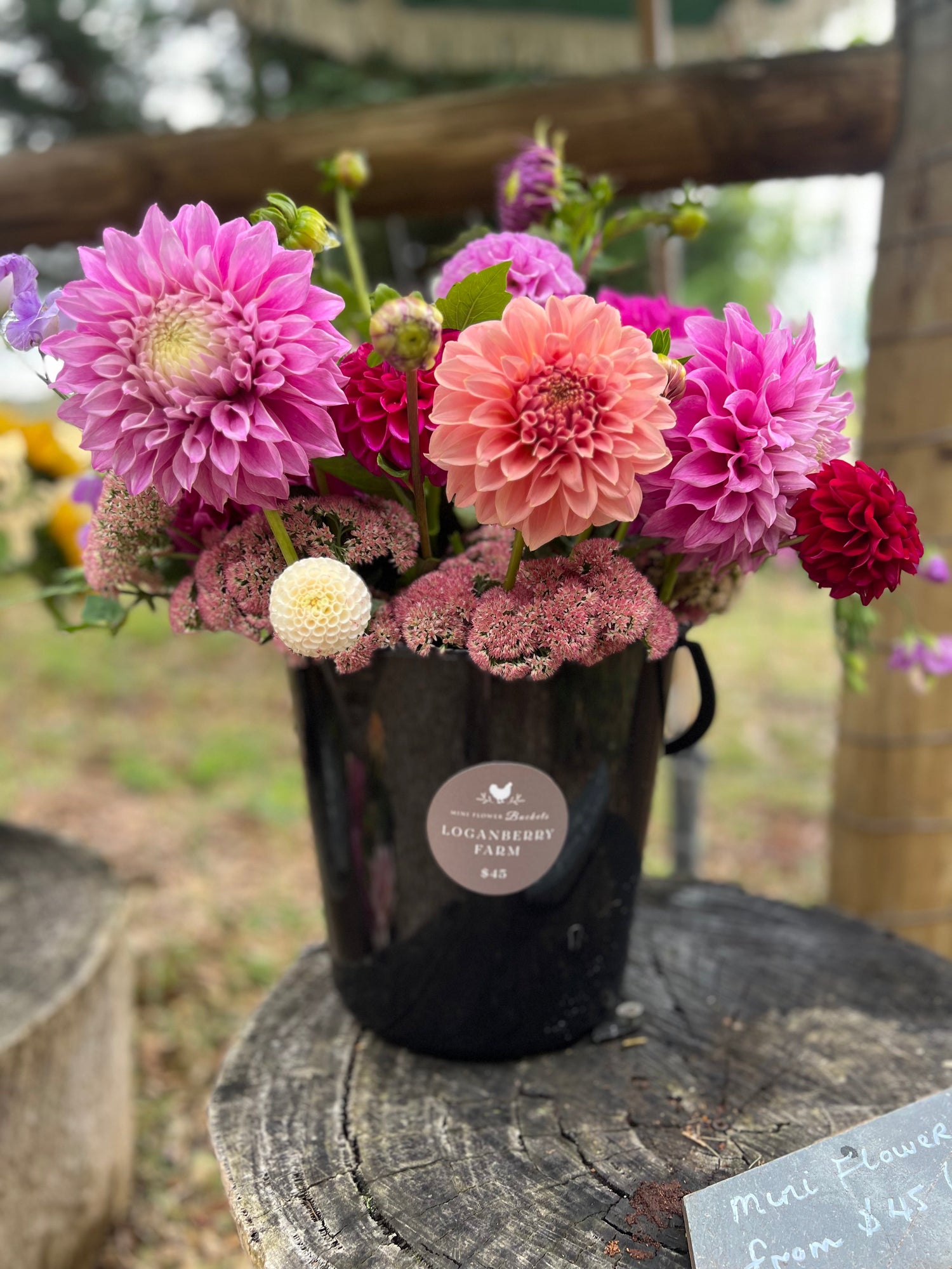 Mini Dahlia Flower Buckets