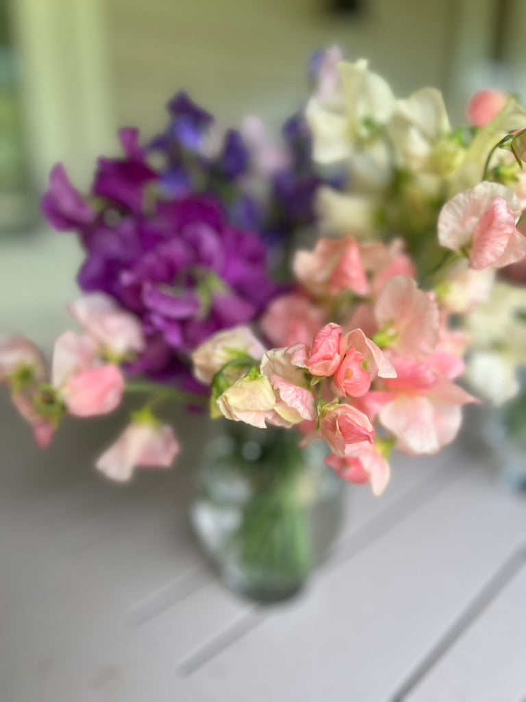Farmgate Bunches ~ Sweet Peas