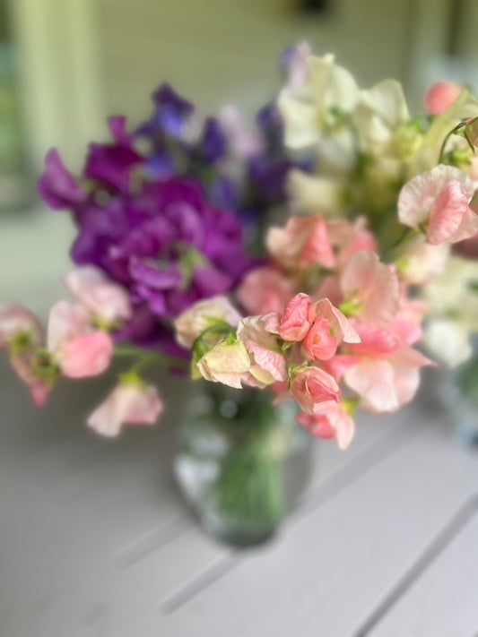 Farmgate Bunches ~ Sweet Peas