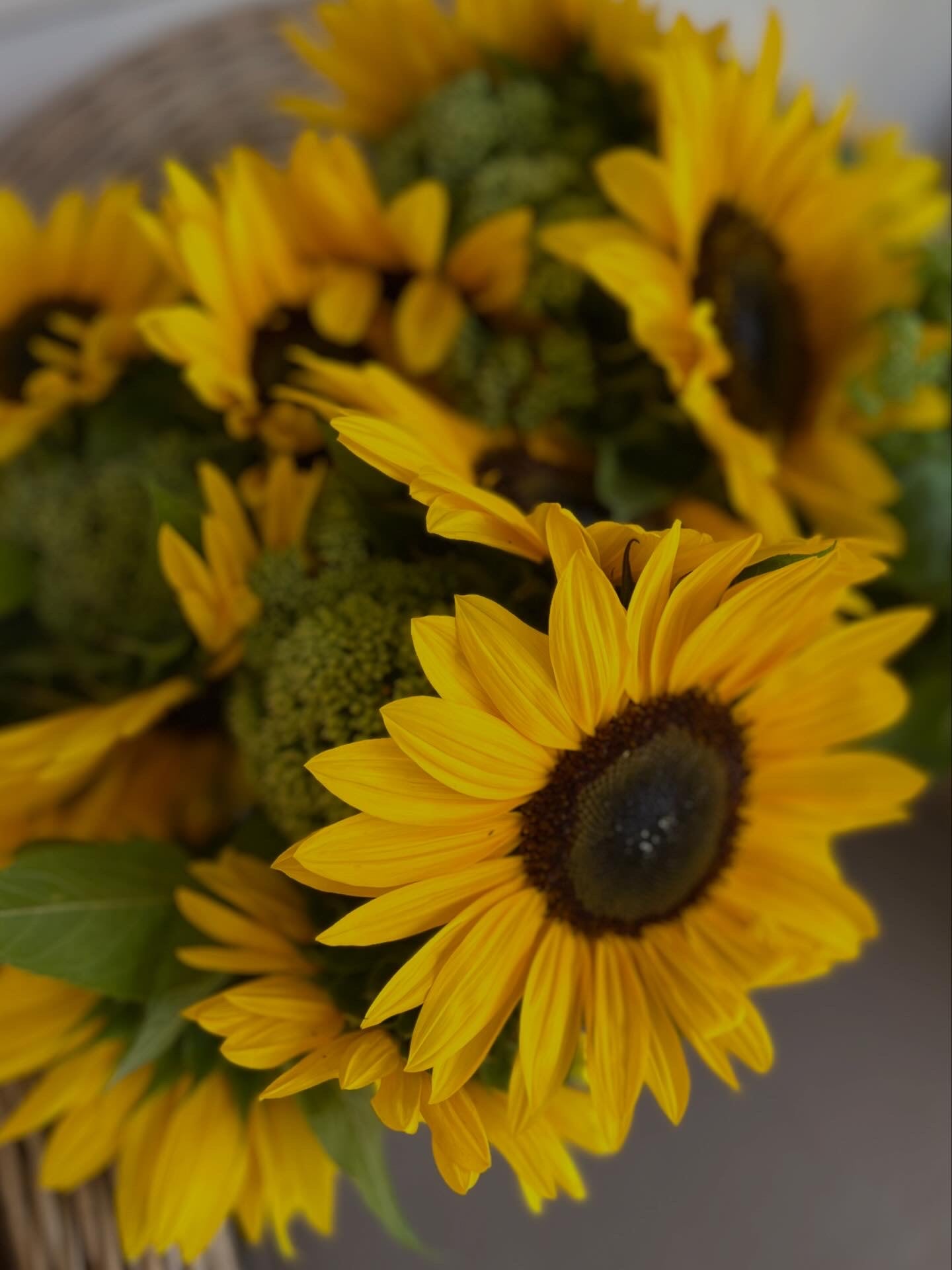 Mini Sunflower Buckets