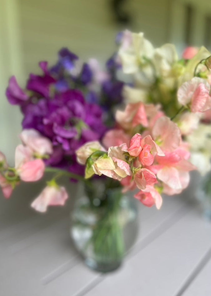 Bouquets of pink and purple sweet pea flowers in clear vases on a wooden surface.