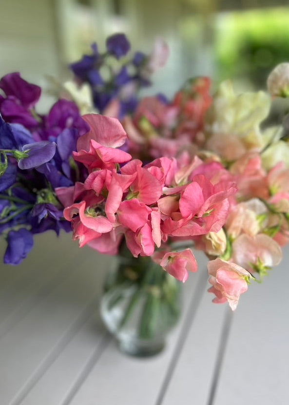 Bouquet of colourful sweet pea flowers in a clear vase on a wooden surface
