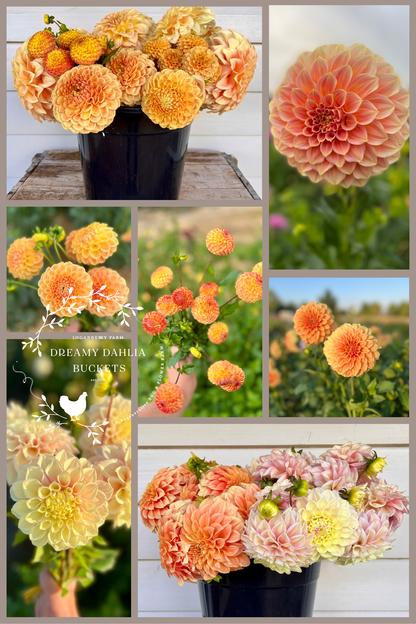 Dreamy Dahlia Flower Buckets