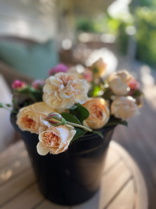 Mini Garden Rose Flower Buckets