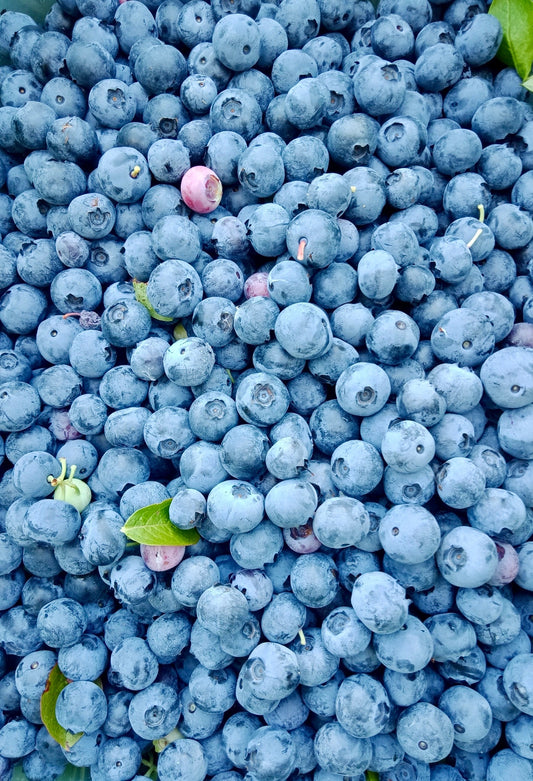 Close-up of fresh blueberries with a few green leaves.
