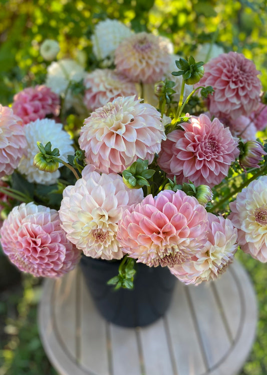Dreamy Custom Dahlia Flower Buckets