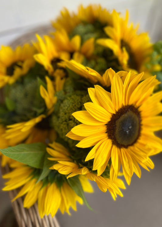 A Flower Bucket containing five farmgate bunches of golden radiance sunflowers.