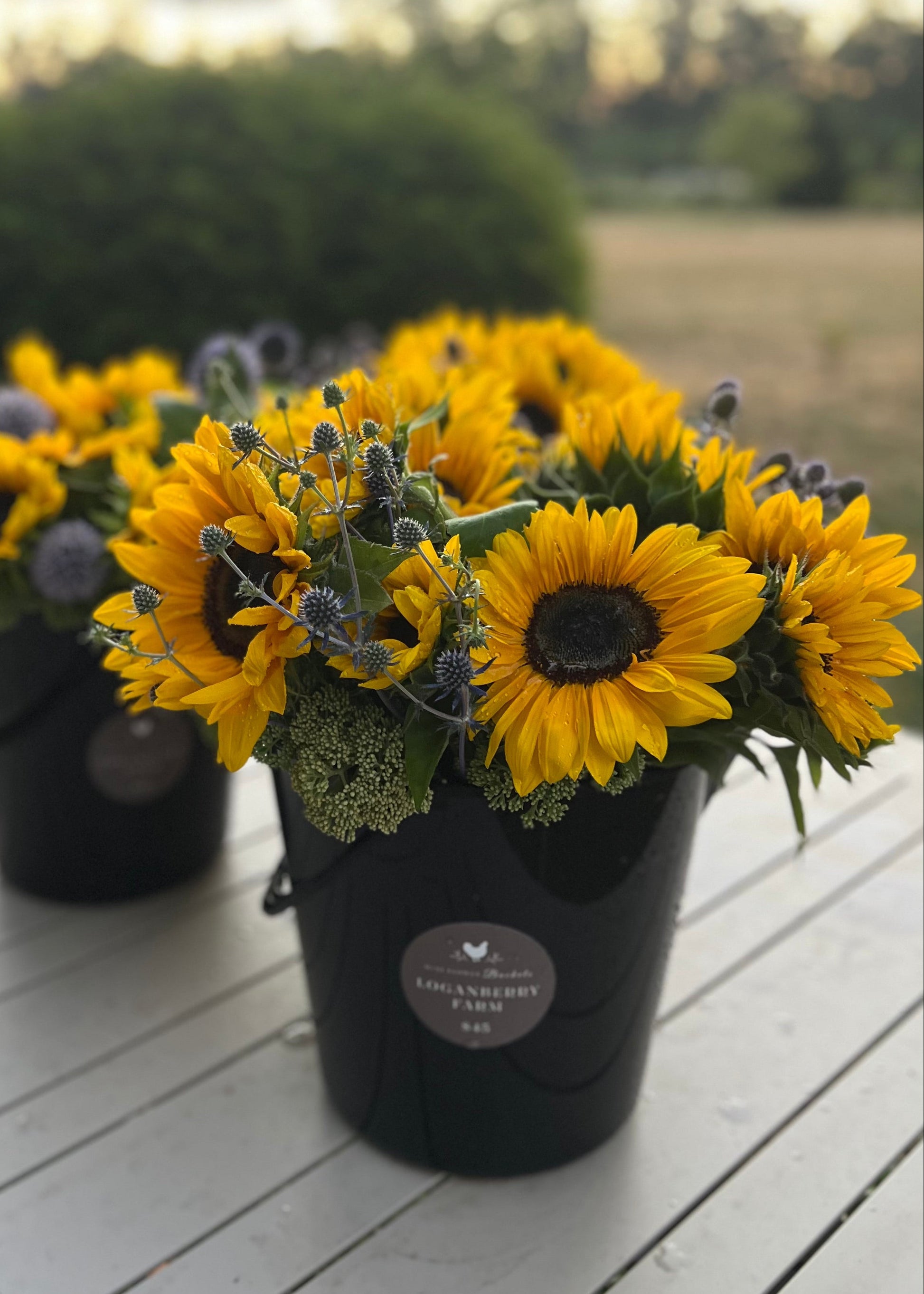 Two black mini flower buckets with sunflowers on a wooden surface outdoors.