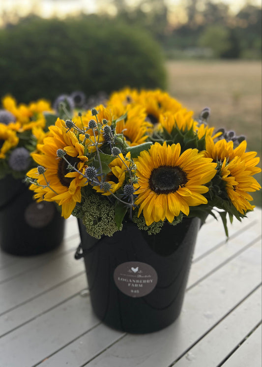 Two black mini flower buckets with sunflowers on a wooden surface outdoors.