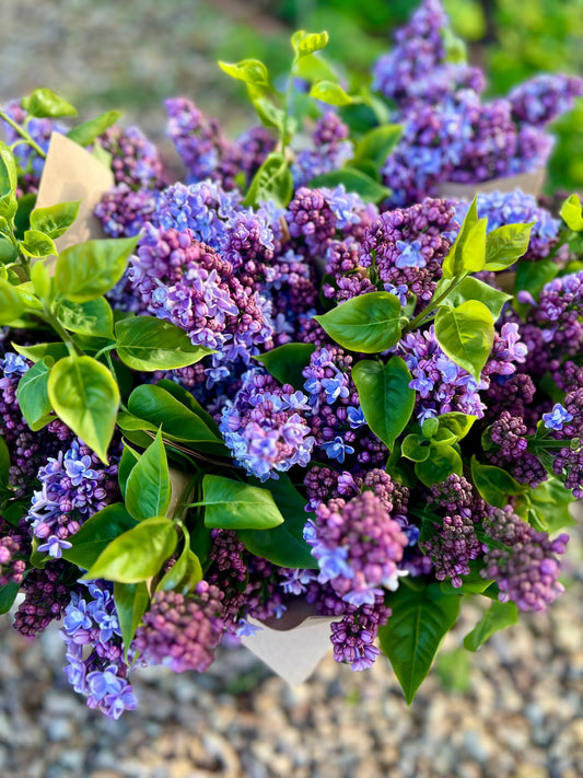 Farmgate Bunches ~ Lilac