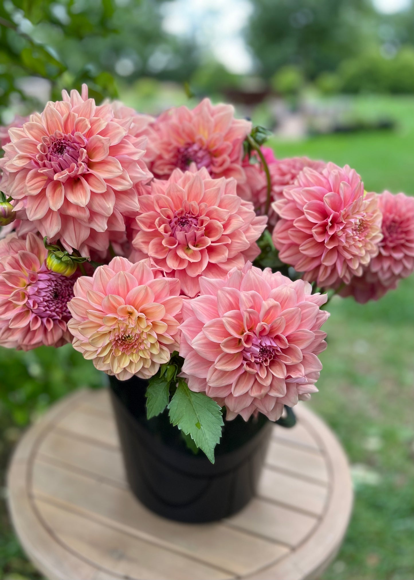 Dreamy Salmon Flower Bucket