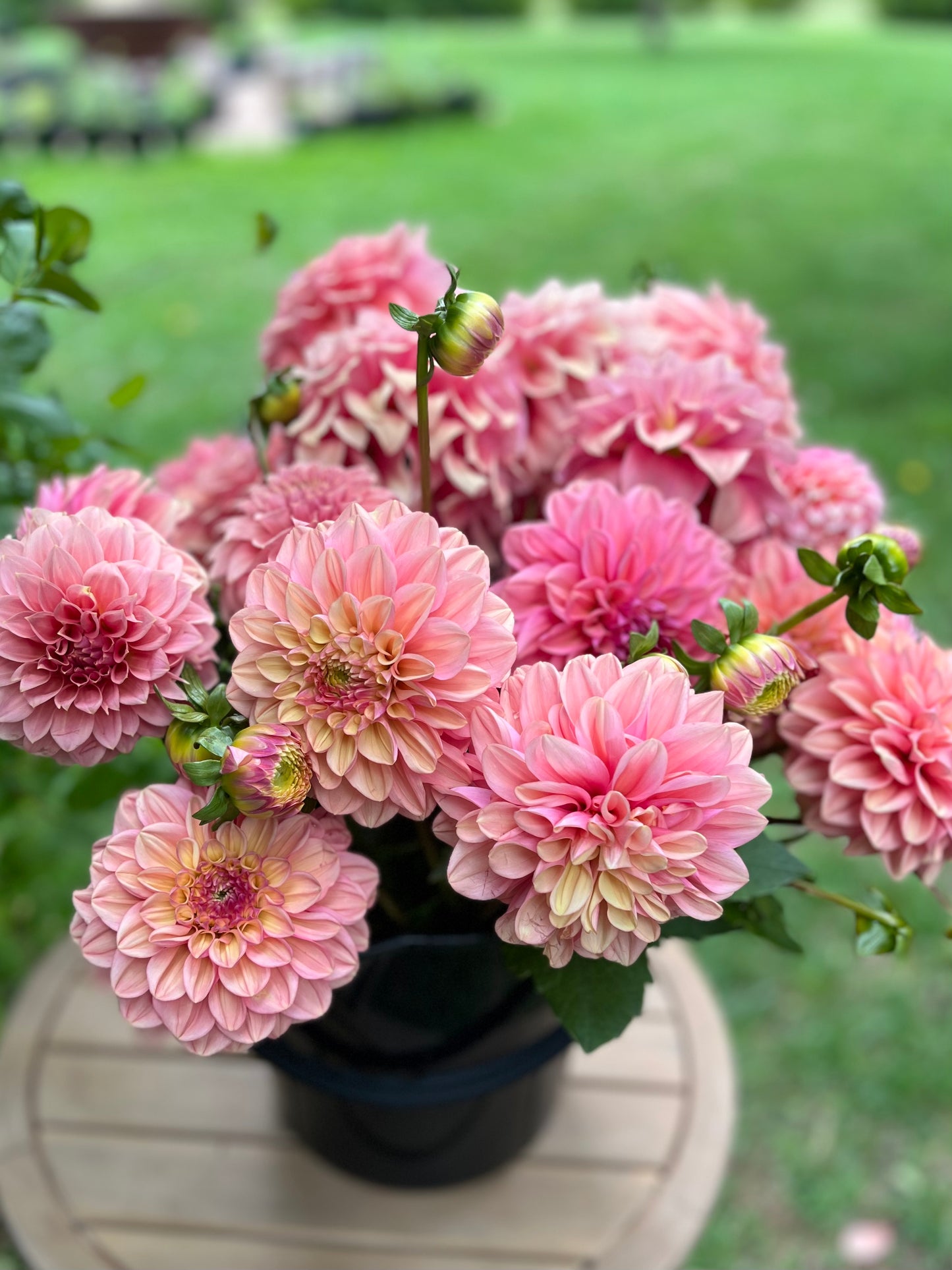 Dreamy Salmon Flower Bucket