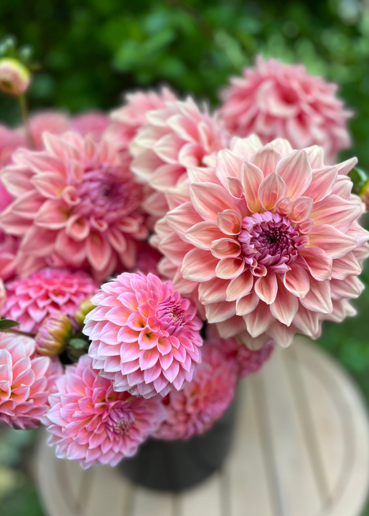 Dreamy Salmon Flower Bucket