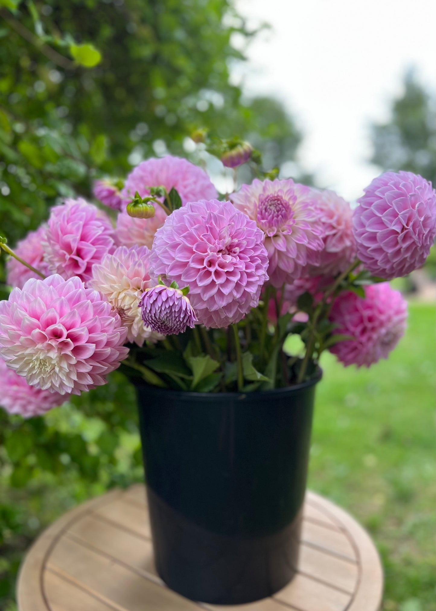 Dreamy Soft Pink Flower Bucket