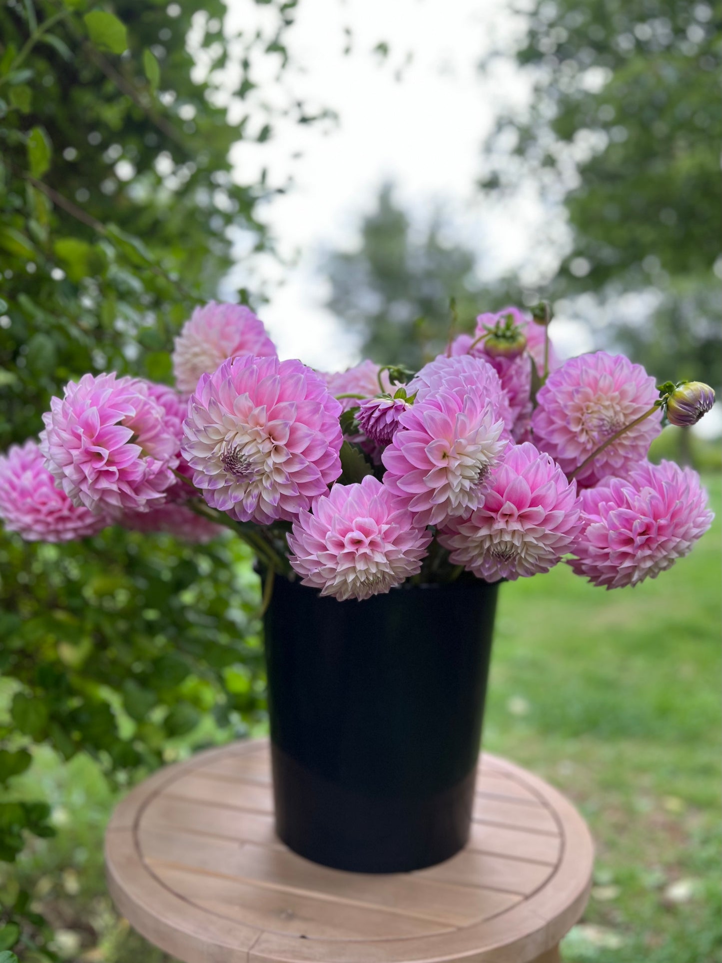 Dreamy Soft Pink Flower Bucket