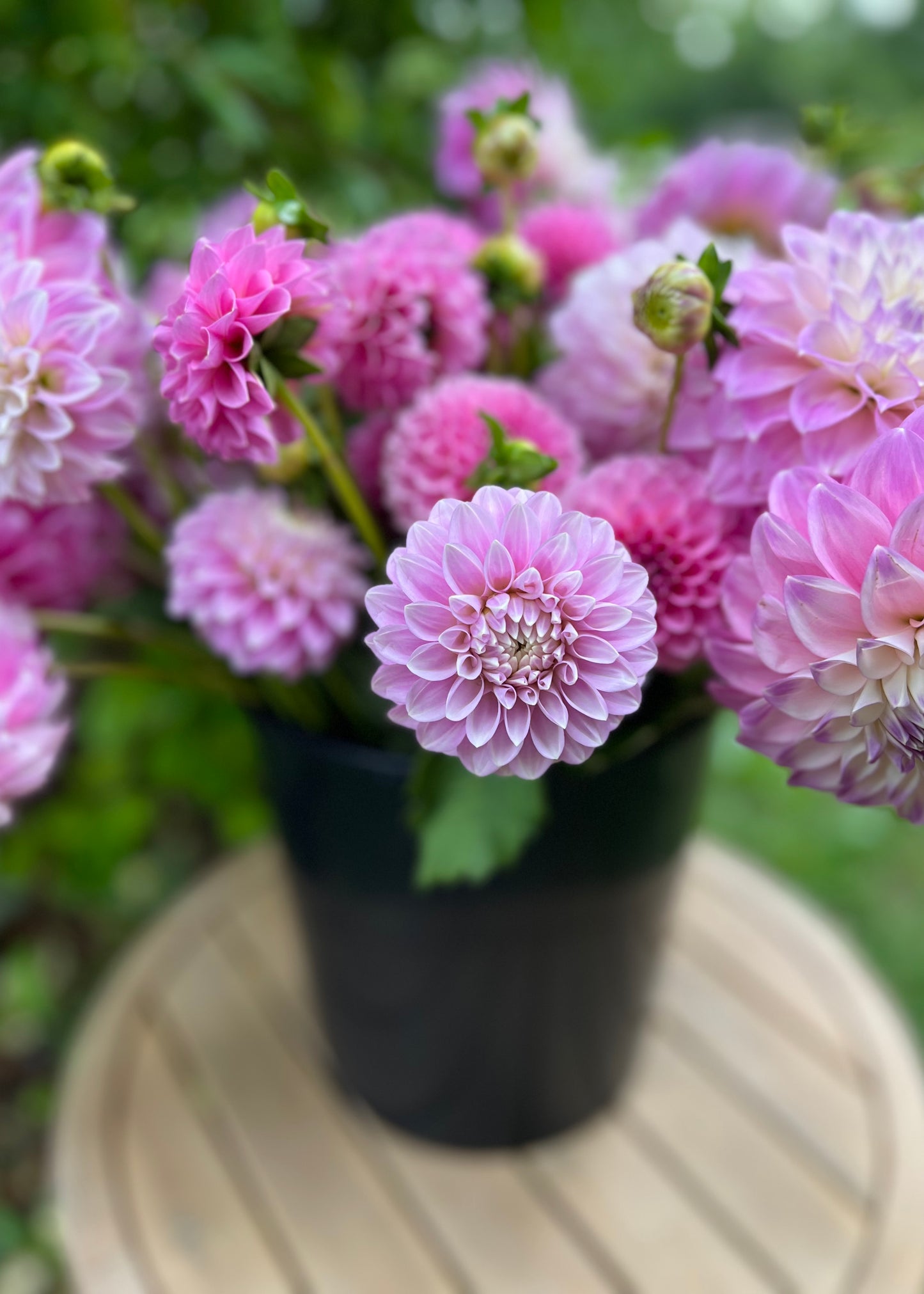 Dreamy Soft Pink Flower Bucket