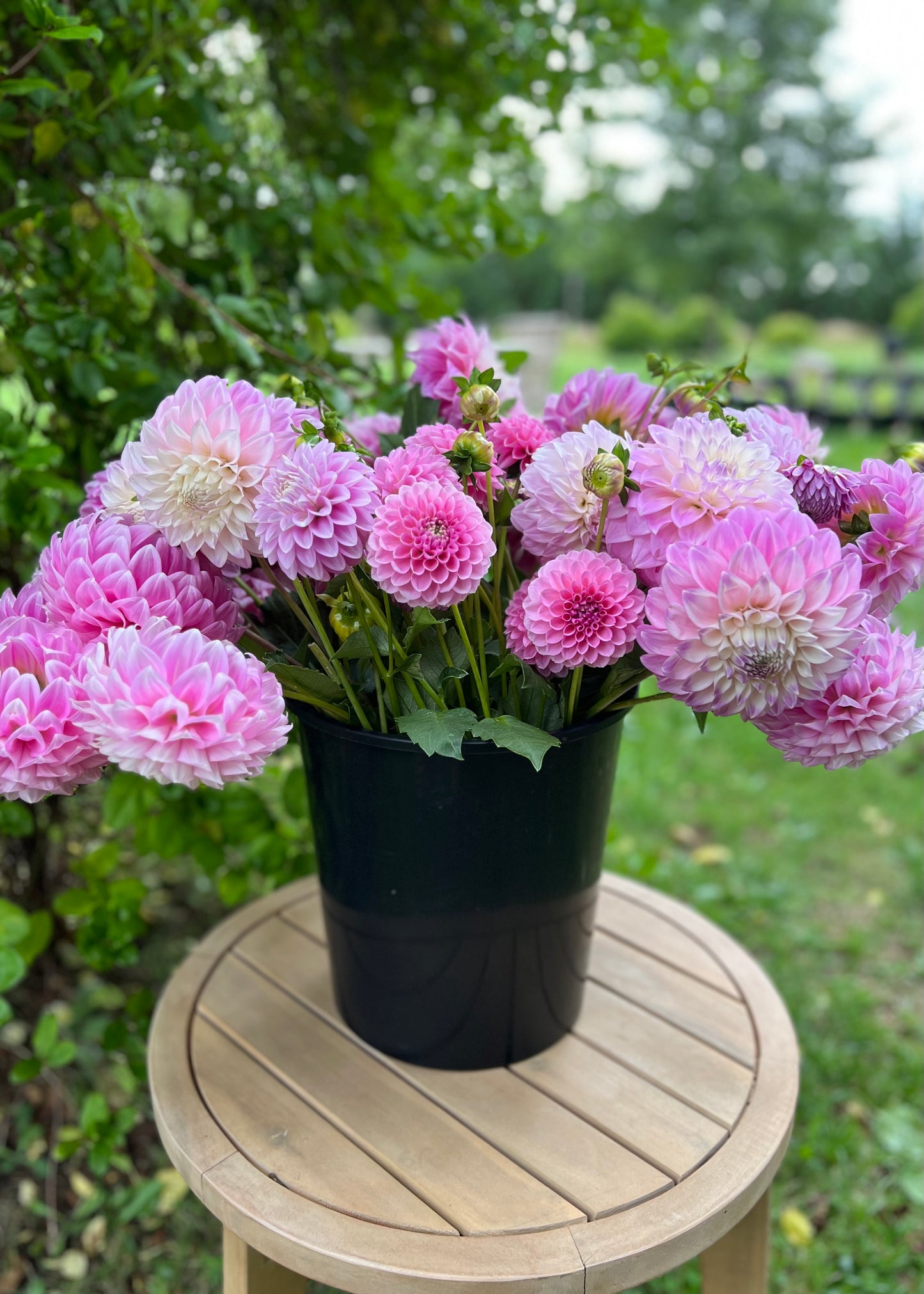 Dreamy Soft Pink Flower Bucket
