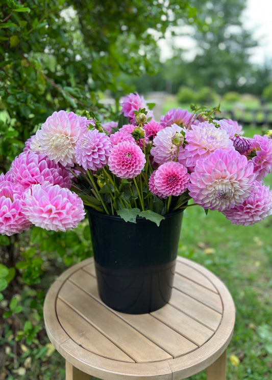 Dreamy Soft Pink Flower Bucket