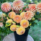 Dreamy Tangerine Flower Buckets