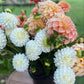 Dreamy Tangerine Flower Buckets