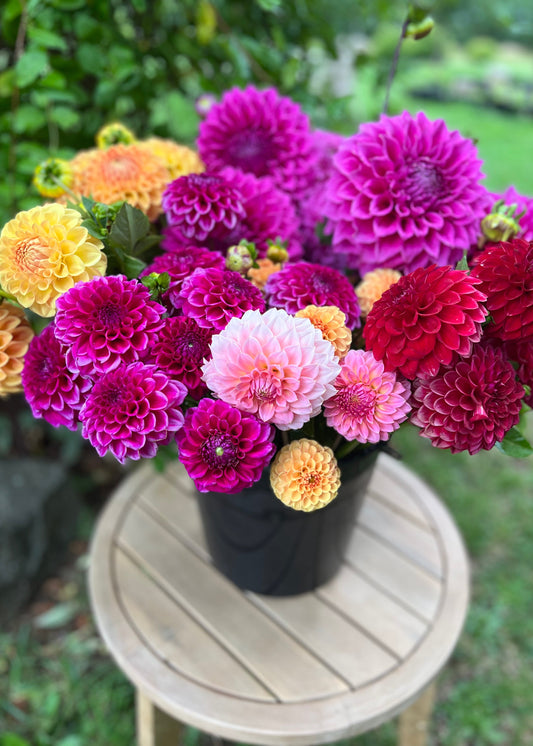 Dreamy Brights Flower Bucket