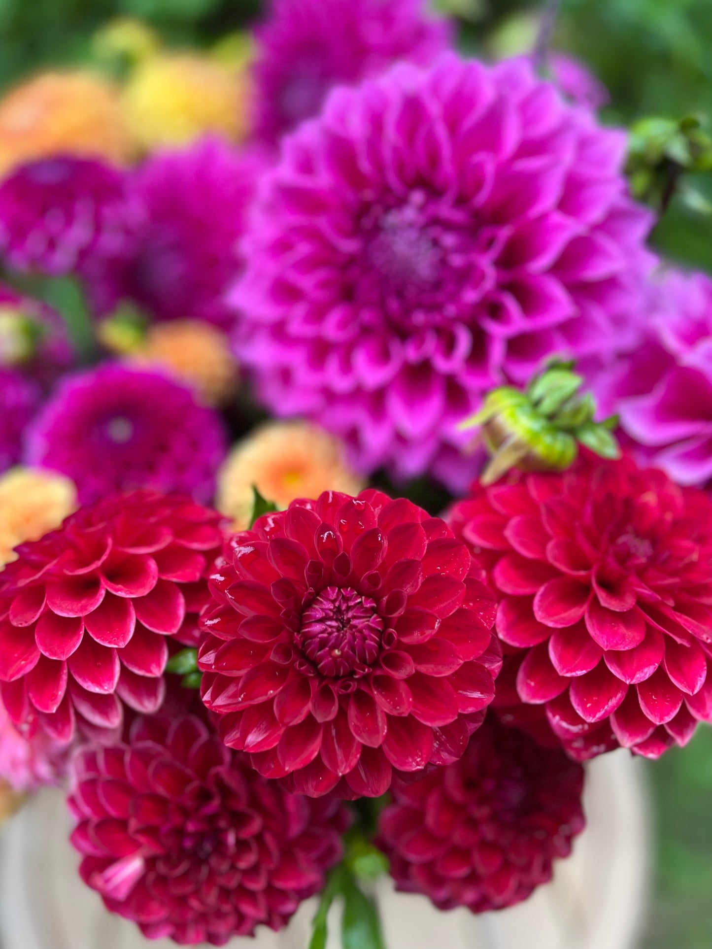 Dreamy Brights Flower Bucket