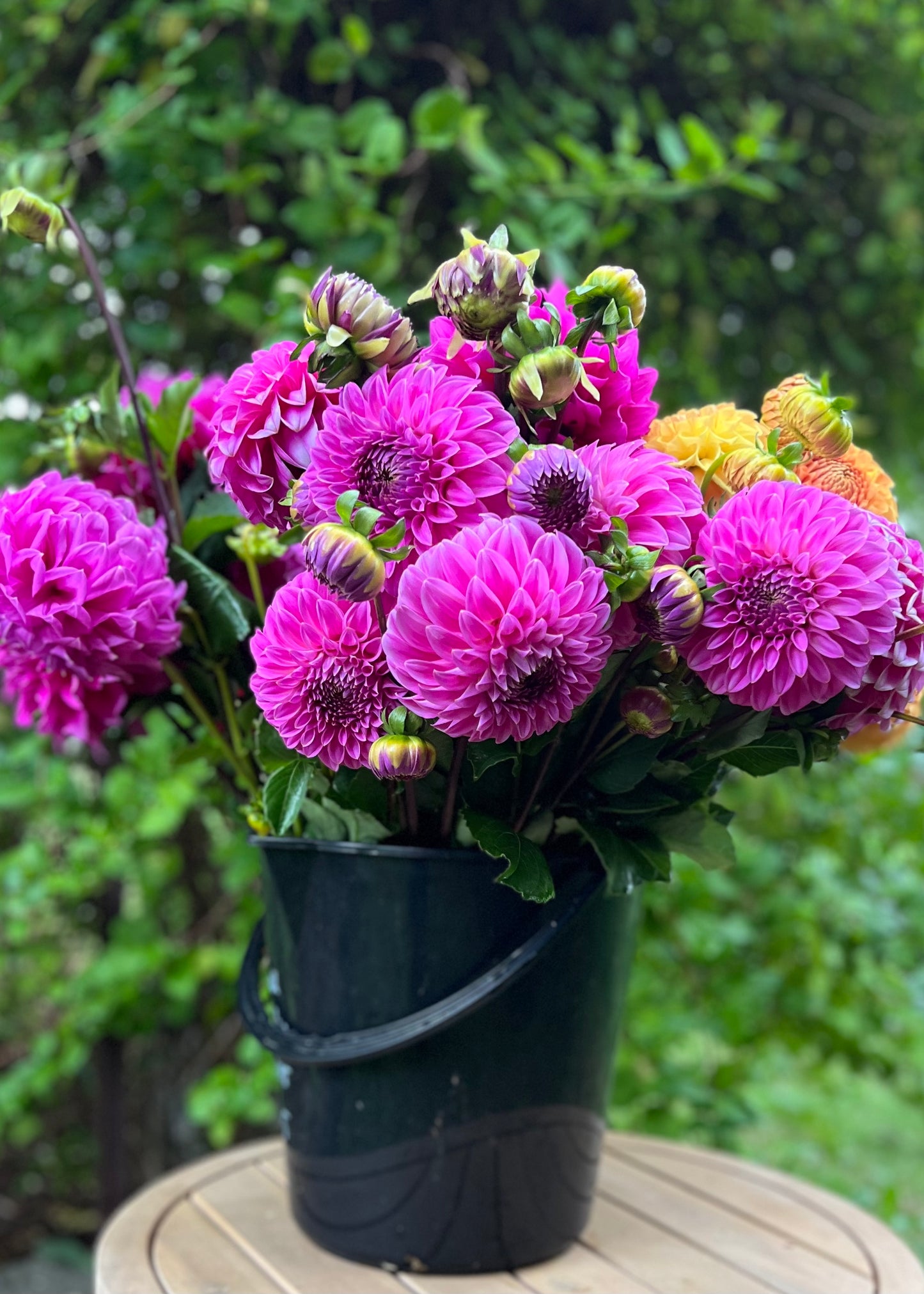 Dreamy Brights Flower Bucket