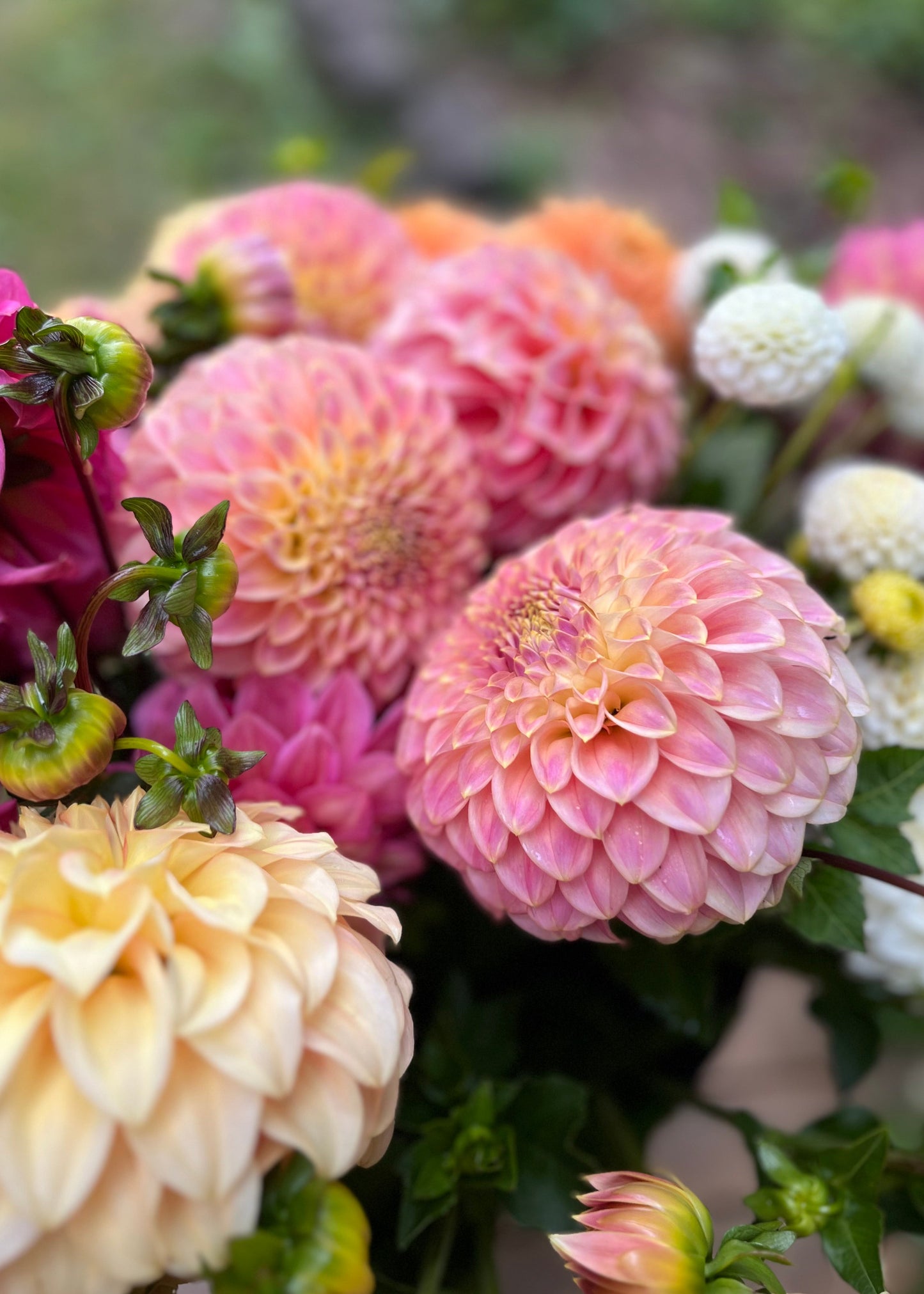 Dreamy Summer Flower Bucket