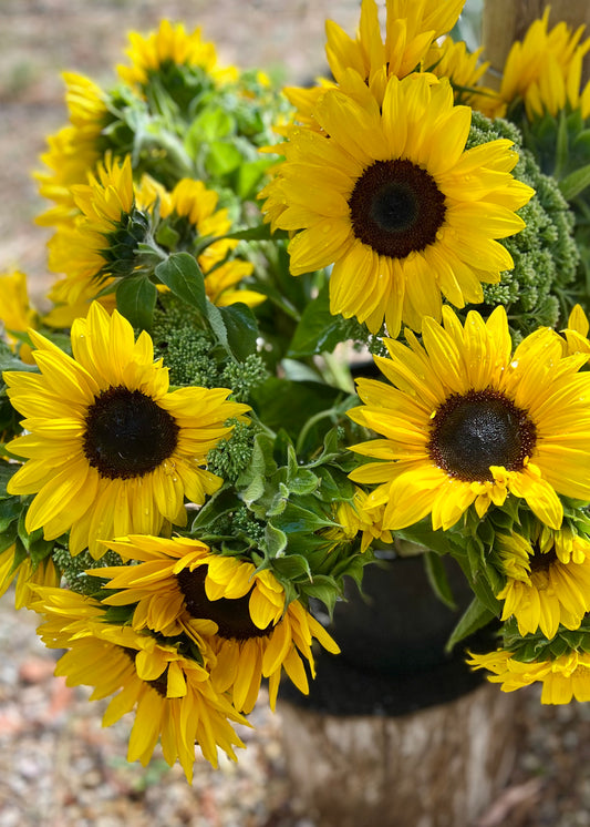 Mini Sunflower Flower Bucket