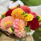 Dahlia Posies