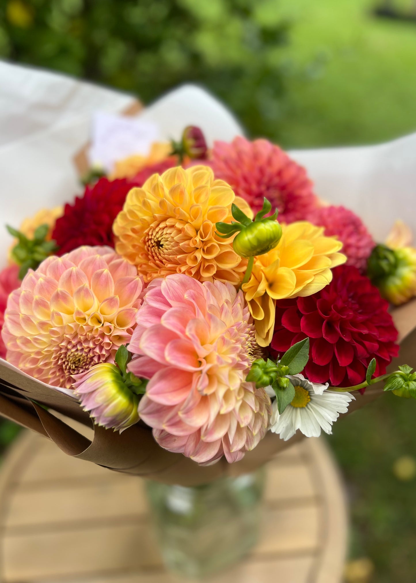 Dahlia Posies
