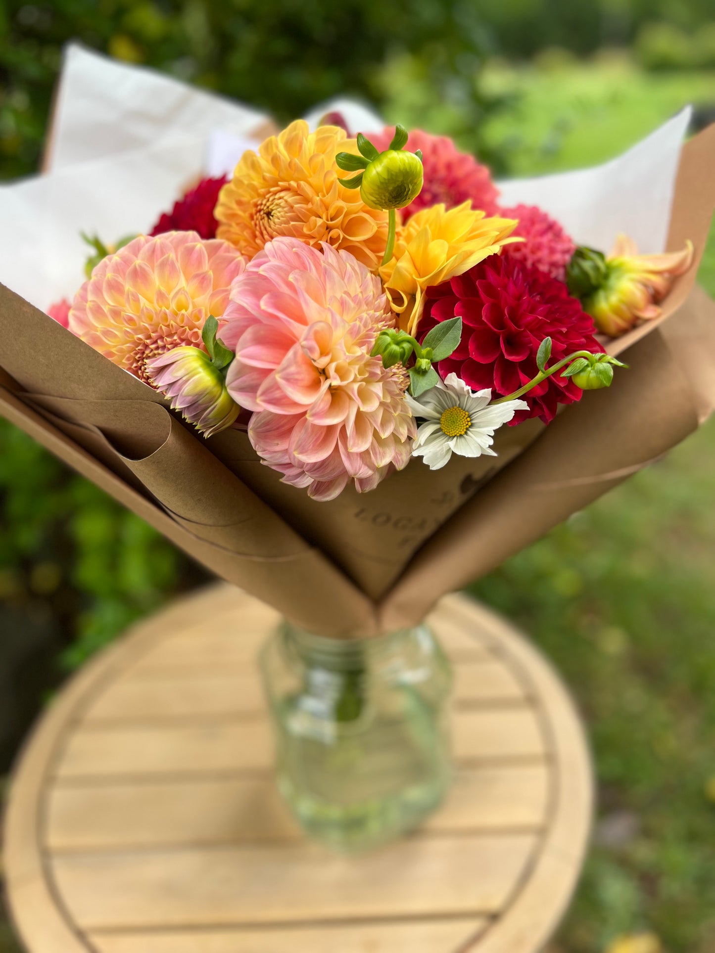Dahlia Posies