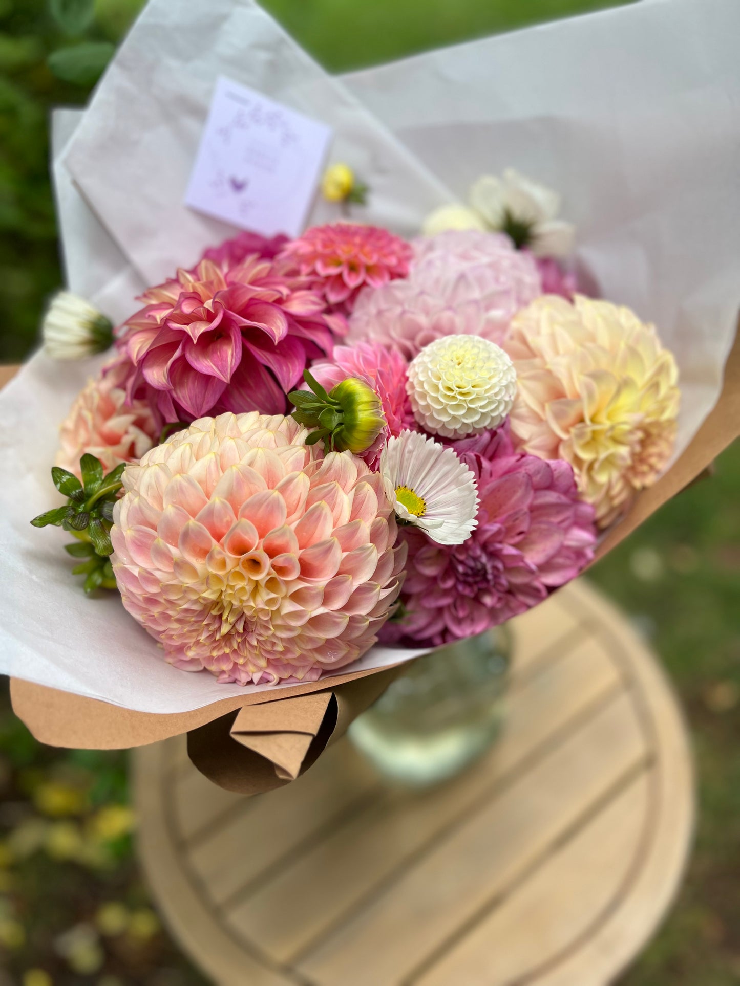 Dahlia Posies