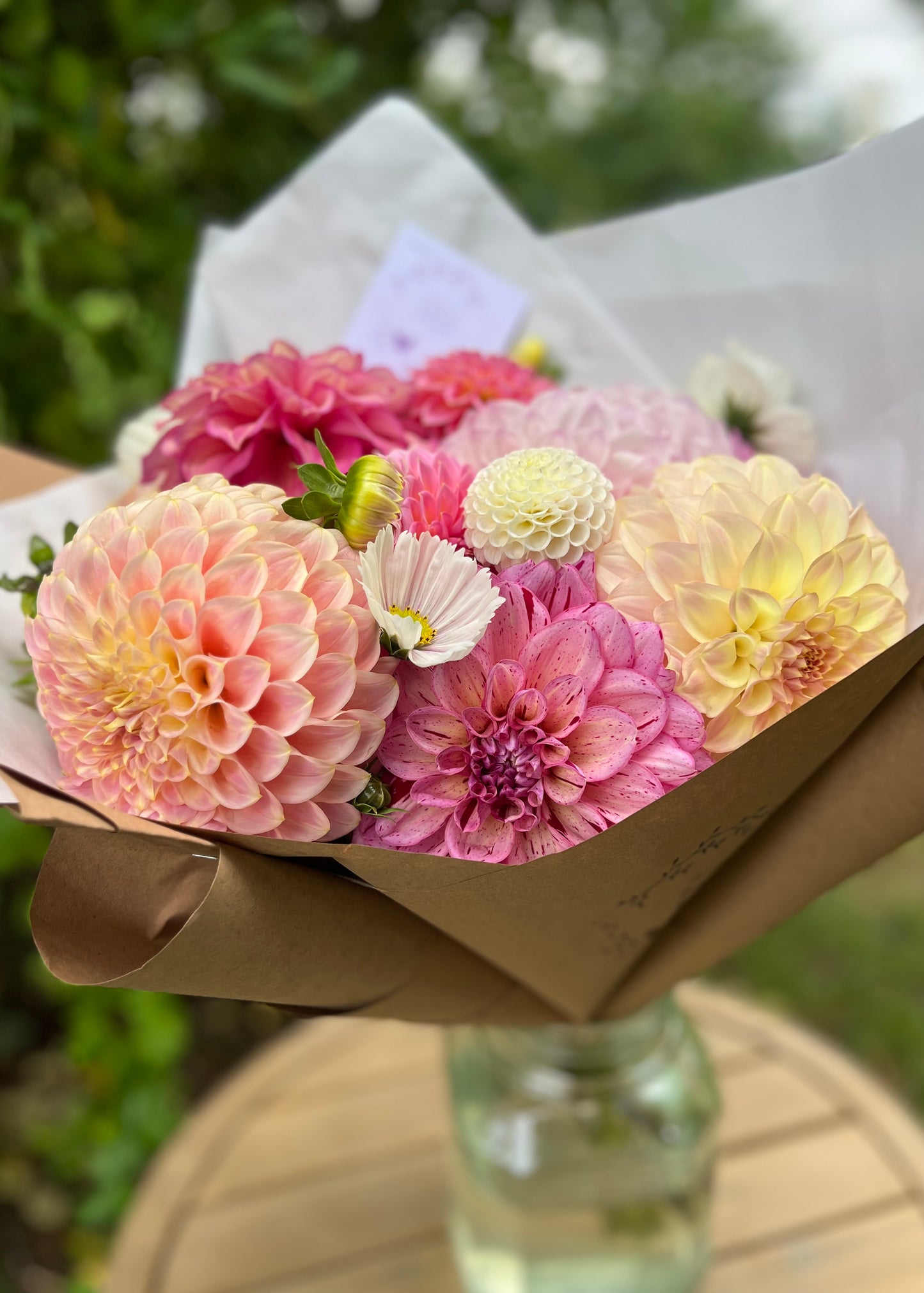 Dahlia Posies