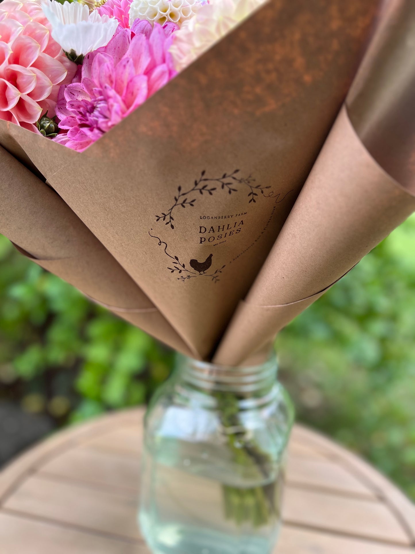 Dahlia Posies