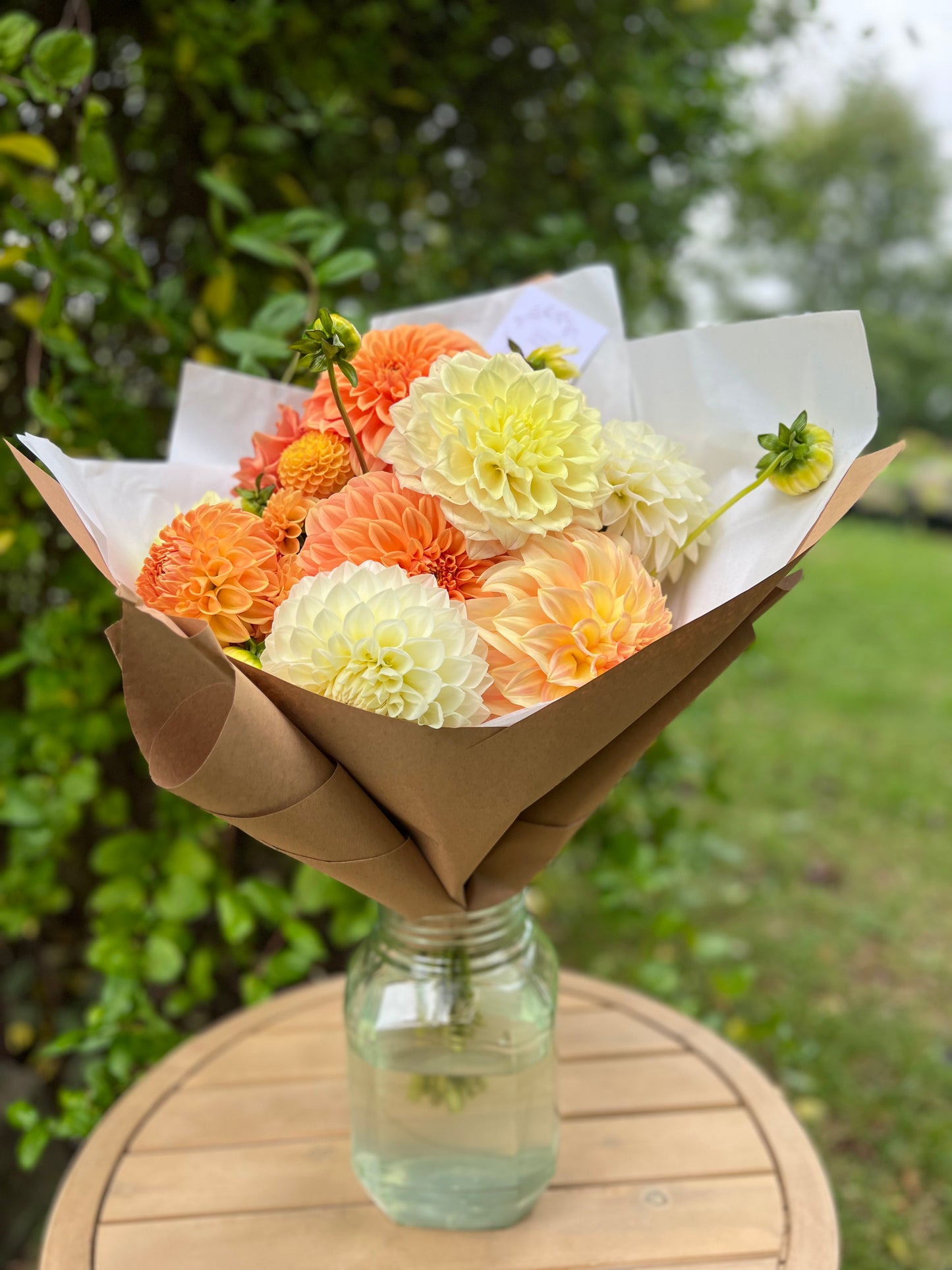 Dahlia Posies