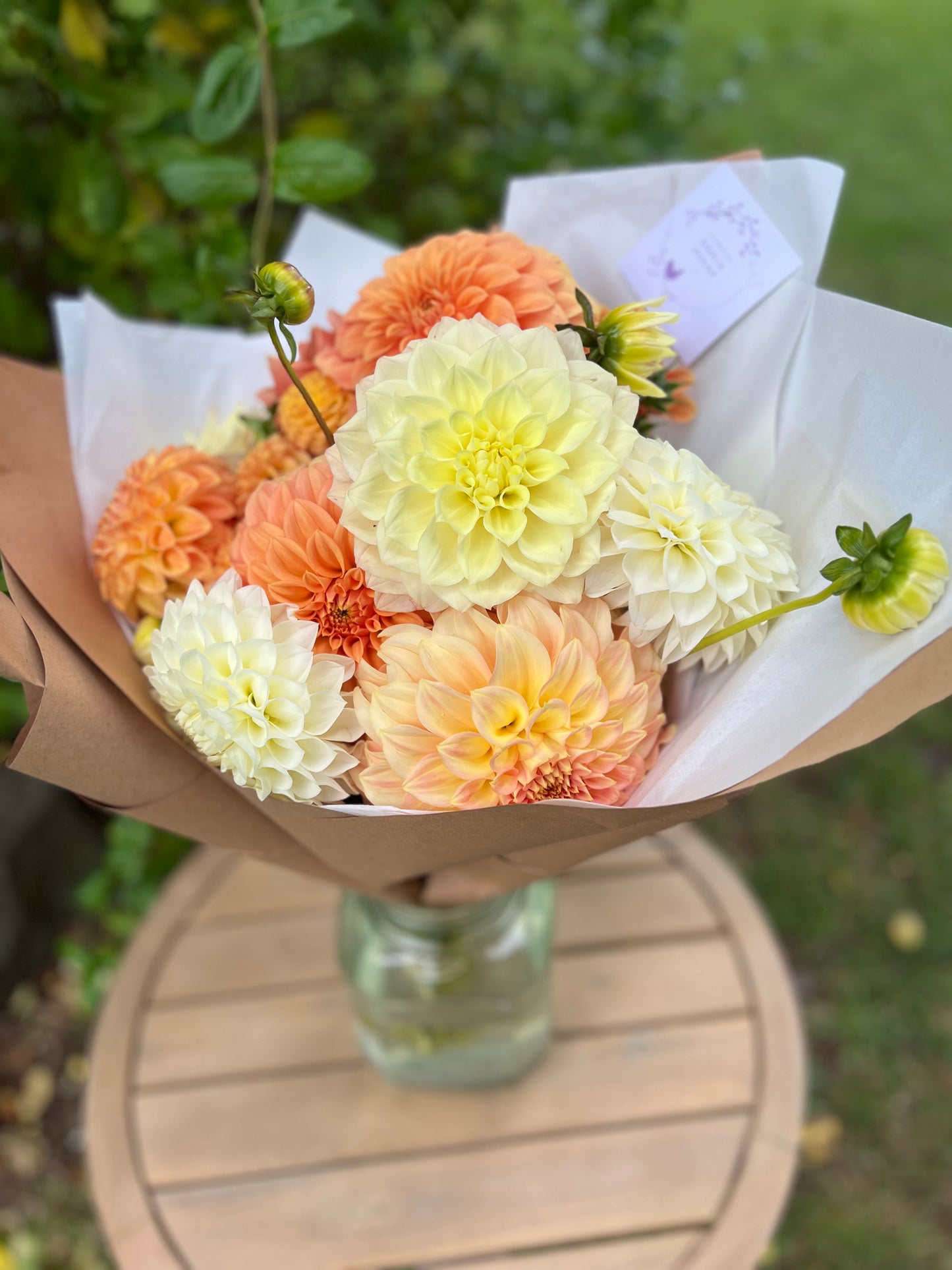 Dahlia Posies
