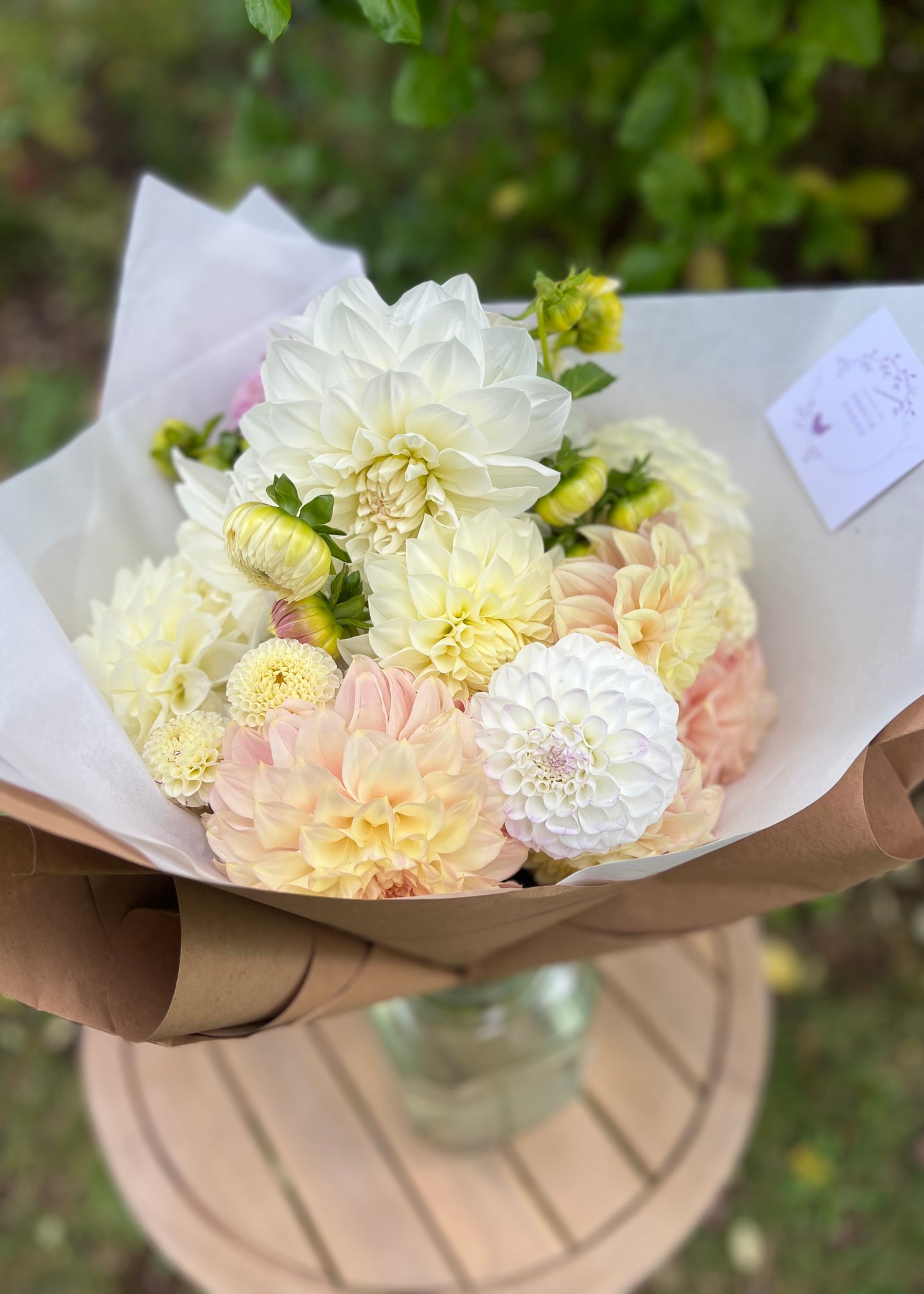 Dahlia Posies