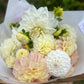Dahlia Posies