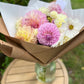 Dahlia Posies
